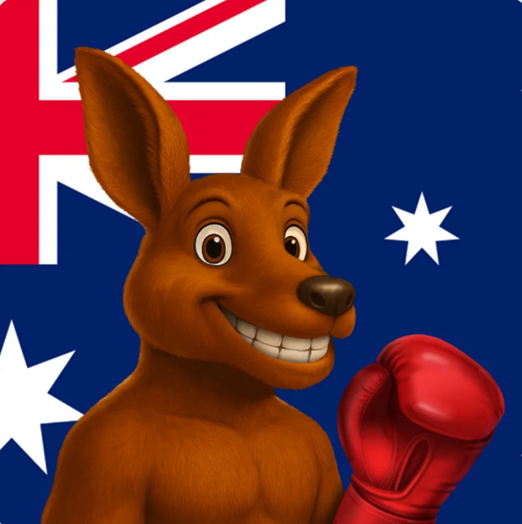 Boomer Logo